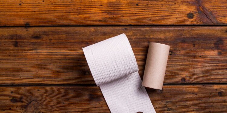 Você nunca mais vai jogar fora o tubo do papel higiênico depois disso