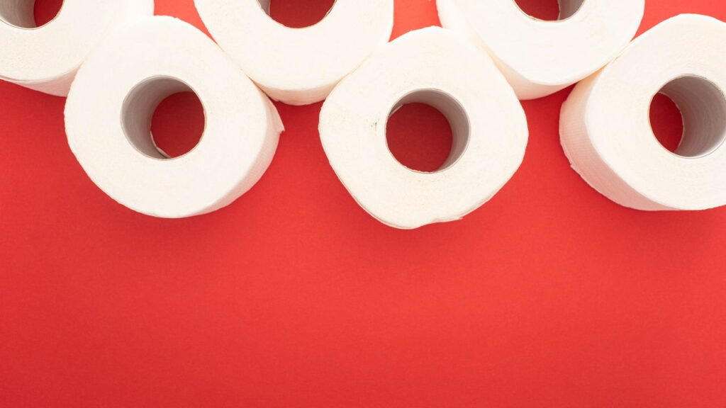 Você nunca mais vai jogar fora o tubo do papel higiênico depois disso