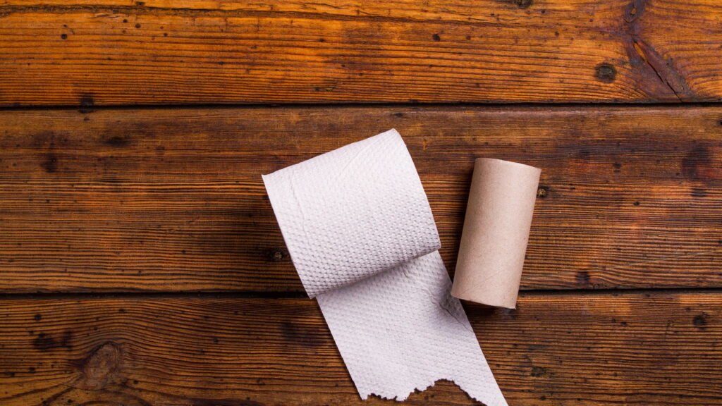 O mundo está repensando o papel higiênico e você pode se surpreender