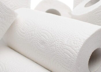 Este item sustentável está substituindo o papel toalha no Brasil