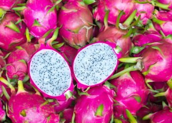 Suco de Pitaya é a bebida mais saudável e refrescante do verão