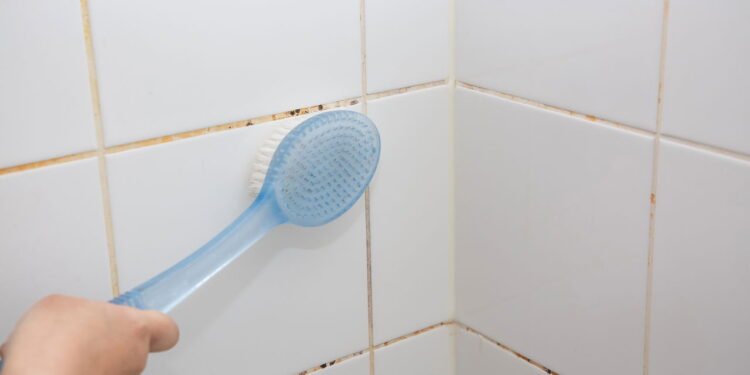 Rejuntes de banheiro // Créditos: depositphotos.com / bananashake2011.hotmail.com