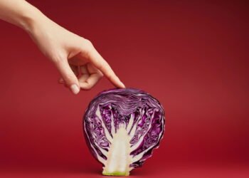 5 passos simples para cultivar repolho roxo mesmo em vaso