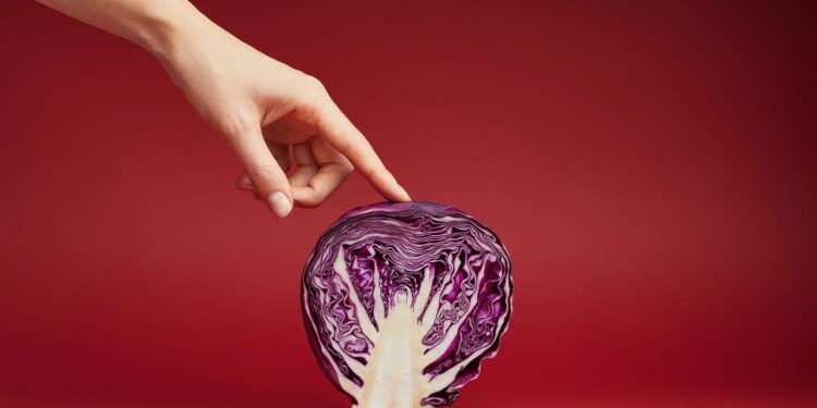 5 passos simples para cultivar repolho roxo mesmo em vaso