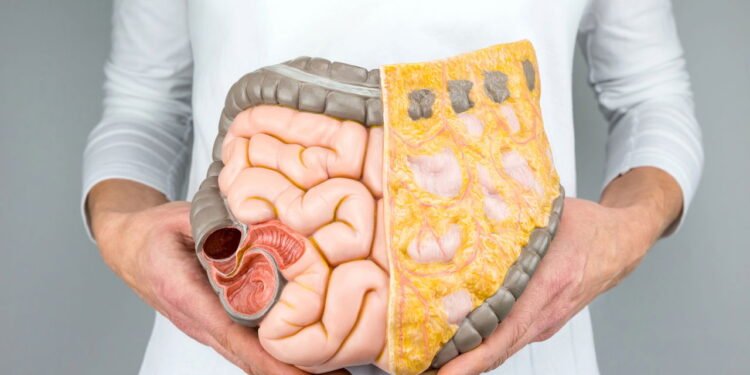 Nova descoberta muda tudo o que se sabia sobre saúde intestinal