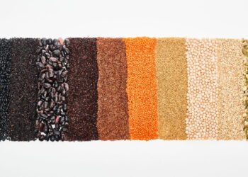 6 Sementes poderosas que ajudam a controlar a Glicemia