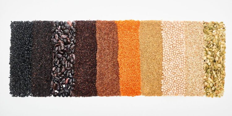 Sementes - Créditos: depositphotos.com / VadimVasenin