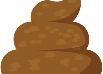 O que a cor das Fezes revela sobre sua saúde