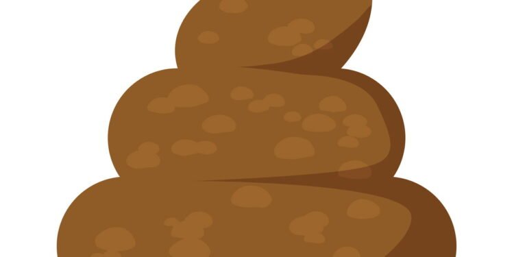 Fezes - Créditos: depositphotos.com / chrupka