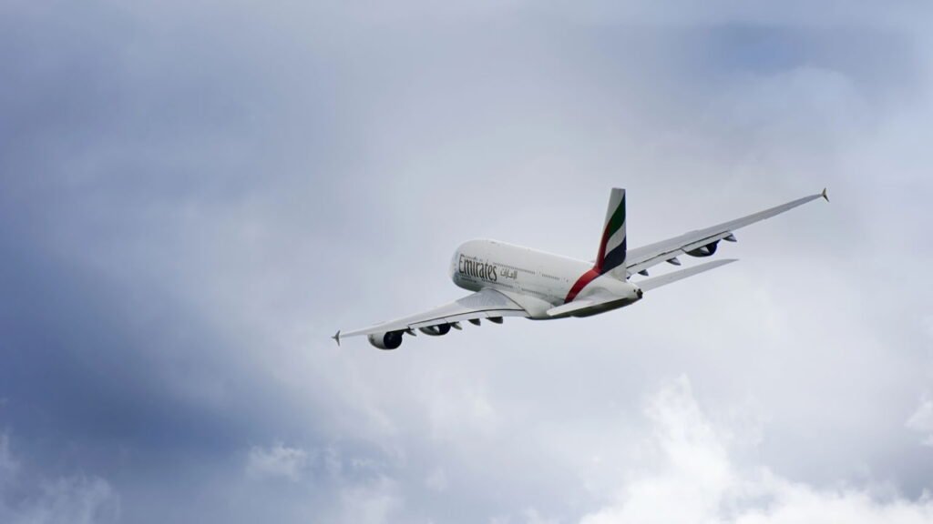 O melhor jeito de viajar com pet sem dor de cabeça e sem erro