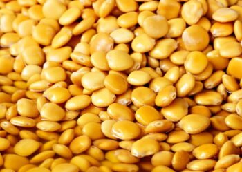 A leguminosa mais esquecida do Brasil combate 3 doenças