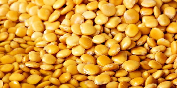 Legume - Créditos: depositphotos.com / elxaval