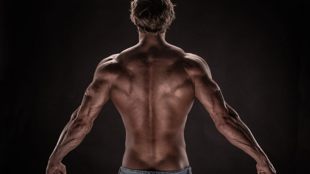 Os 5 melhores exercícios para fortalecer os tríceps e melhorar a força em casa