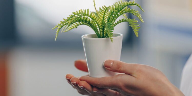 Decore e organize com charme! Aprenda a fazer suporte de vasos em madeira