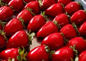 Conheça os perigos ocultos do Morango do Amor