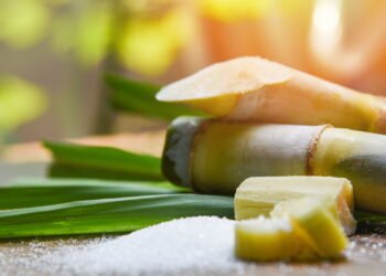 Cientistas brasileiros revelam o poder escondido na cana-de-açúcar