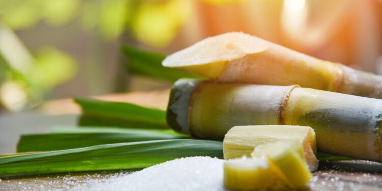 Ação anti-inflamatória comprovada por compostos fenólicos presentes no caule - Créditos: depositphotos.com / poringdown@gmail.com