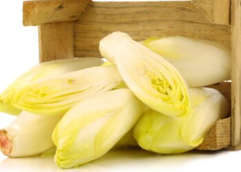 Esta verdura fortalece a imunidade e melhora digestão com muito sabor