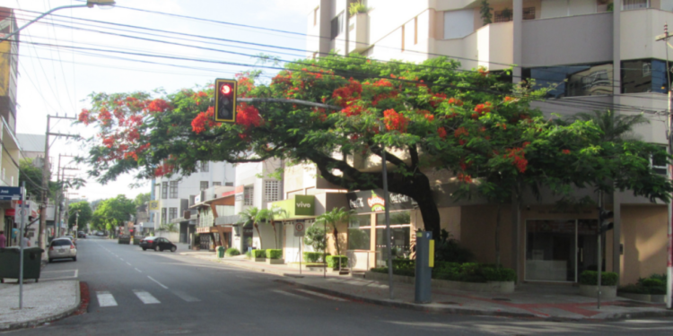 Cidade se destaca como uma das que mais crescem economicamente
