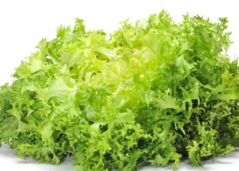 Esse vegetal incomun fortalece a imunidade e ajuda na digestão