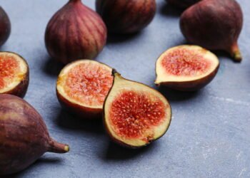 Ter figo fresco no quintal é mais simples do que você imagina