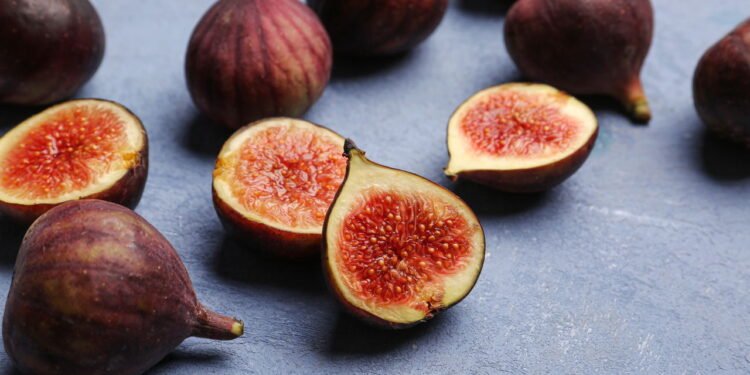 Ter figo fresco no quintal é mais simples do que você imagina