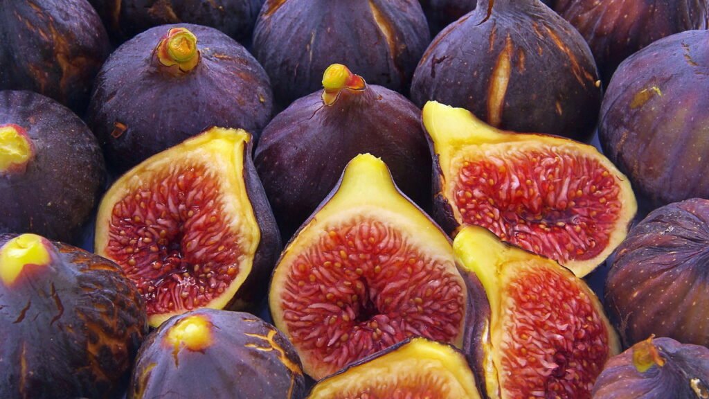 Ter figo fresco no quintal é mais simples do que você imagina