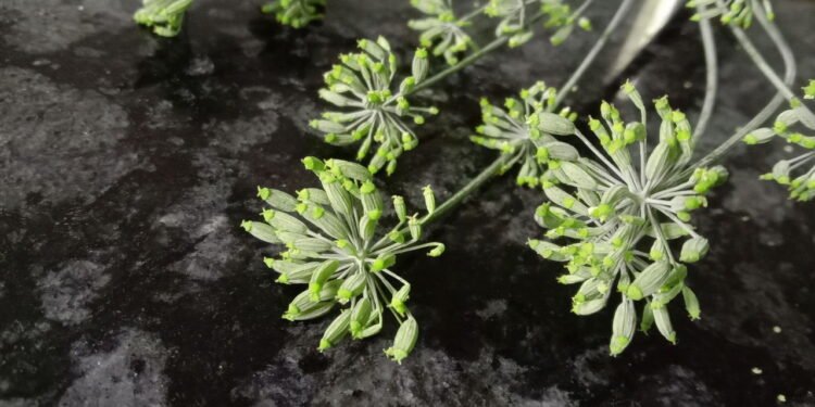 Créditos: depositphotos.com / Designs_