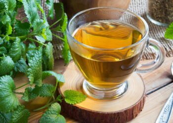 O calmante natural mais completo para corpo e mente segundo a ciência