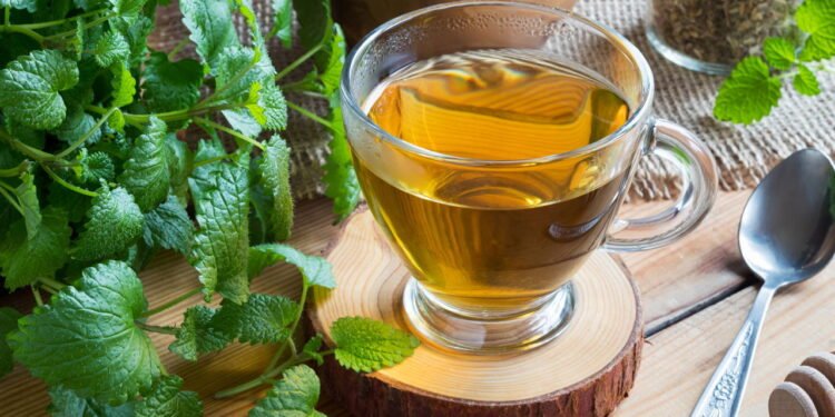 Efeito calmante em estados de ansiedade - Créditos: depositphotos.com / MadeleineSteinbach