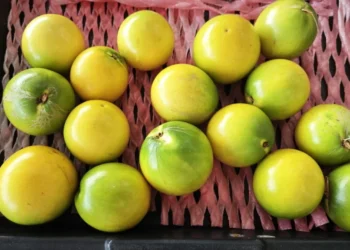 Essa fruta brasileira rara pode transformar sua saúde