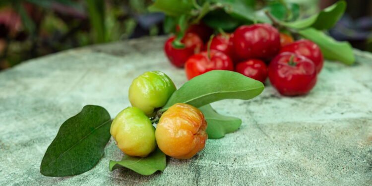 Conheça as frutas vermelhas mais ricas em antioxidantes e vitamina C