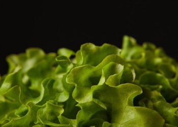 O jeito mais seguro de lavar alface segundo especialistas em saúde
