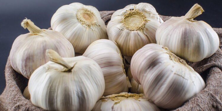 Exerce ação anti-inflamatória por inibirem enzimas - Créditos: depositphotos.com / chaiyapruek