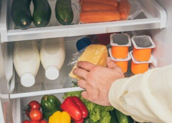 Como armazenar cada tipo de alimento na geladeira? Veja guia completo com dicas