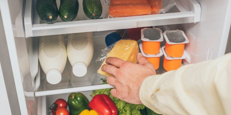 Como armazenar cada tipo de alimento na geladeira? Veja guia completo com dicas