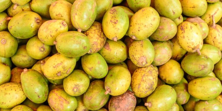 Cajá - Créditos: depositphotos.com / aungmyintmyat