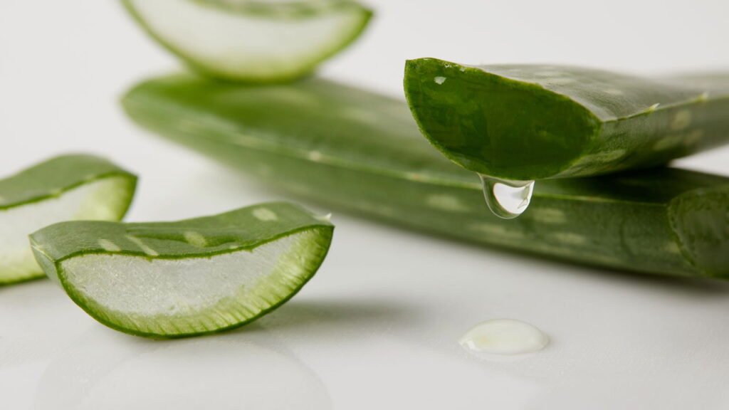 Sabonete de babosa é o segredo natural para pele renovada