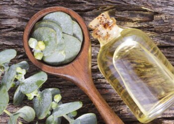 Por que o banho de Eucalipto tem conquistado as pessoas?