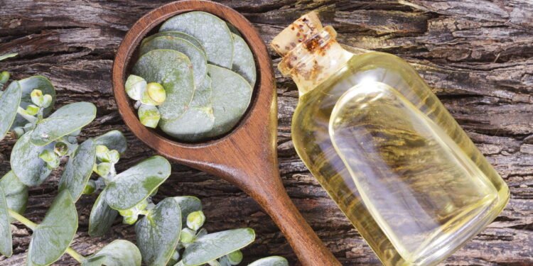 Banho de eucalipto - Créditos: depositphotos.com / CUNDO