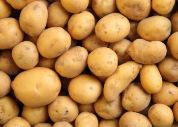 Quais são as propriedades curativas da batata?