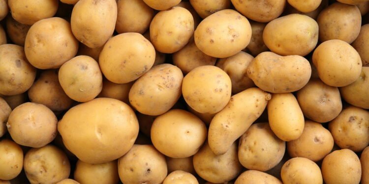 Quais são as propriedades curativas da batata?