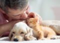 O que significa quando seu cachorro dorme colado em você, segundo especialistas