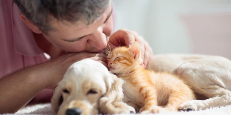 Animais - Créditos: depositphotos.com / FamVeldman