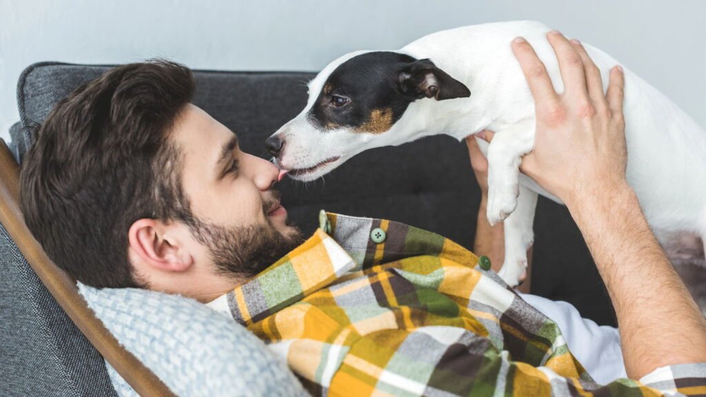 3 motivos por que seu cachorro lambe seus pés segundo especialistas
