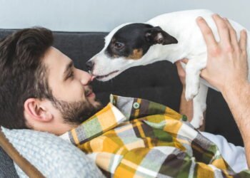 3 motivos por que seu cachorro lambe seus pés segundo especialistas