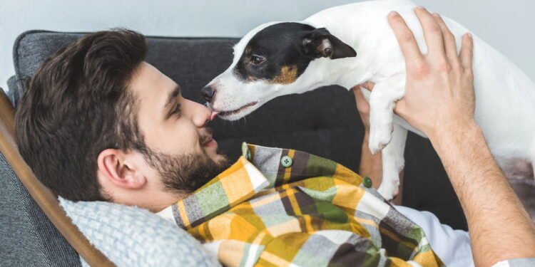 3 motivos por que seu cachorro lambe seus pés segundo especialistas