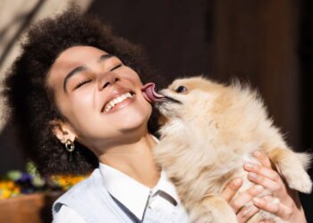 3 motivos por que seu cachorro lambe seus pés segundo especialistas