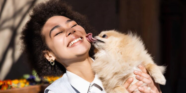 3 motivos por que seu cachorro lambe seus pés segundo especialistas