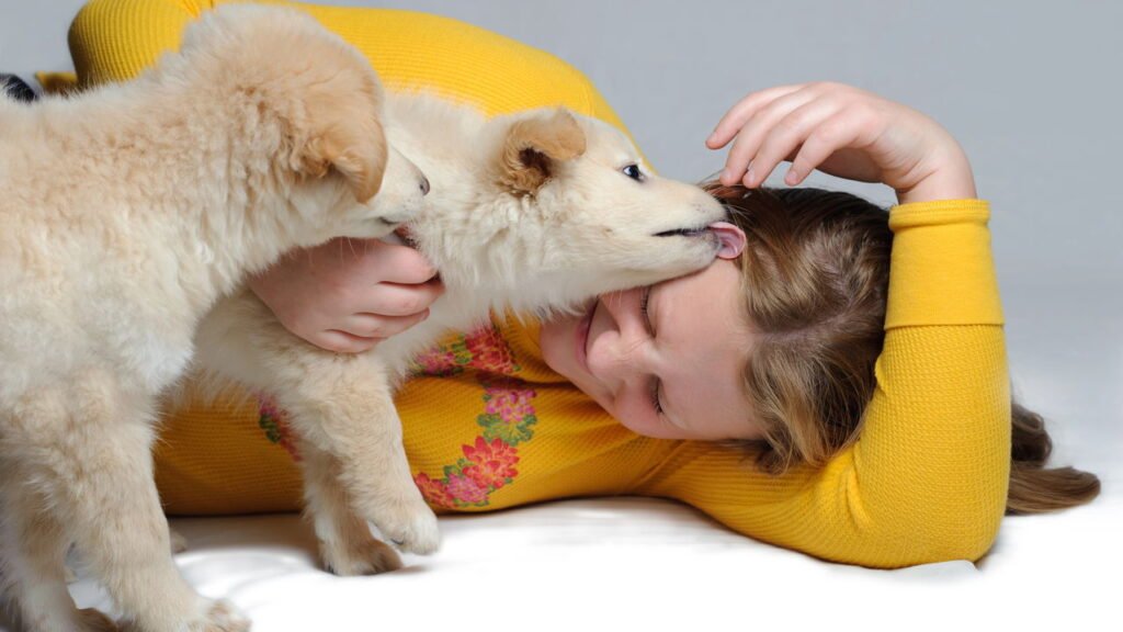 Seu pet te lambe com frequência? Isso pode significar mais do que você imagina